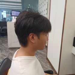 -YESIDO椰岛造型