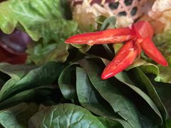 -捞王猪肚鸡火锅(昆山店)