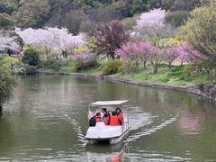 -苏州上方山国家森林公园