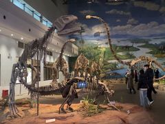 -自贡恐龙博物馆