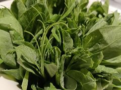 豌豆尖-海底捞火锅(连城广场店)