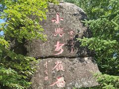 -汤旺河林海奇石景区