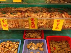 -鲜入围煮花胶鸡海鲜火锅