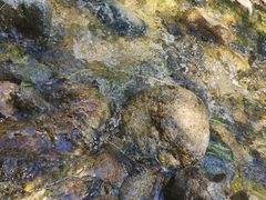 -碓臼峪自然风景区