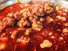 -中和远东火锅兔(老店)