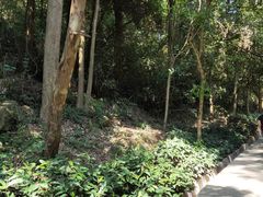 -火炉山森林公园