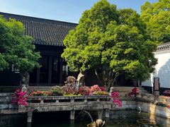 -上海醉白池公园