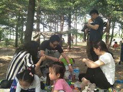 -大兴滨河森林公园