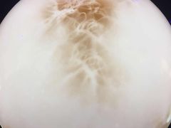-深圳独角兽星空艺术馆