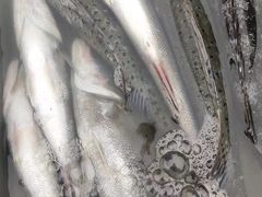 -沙子口大集沙子口海鲜市场
