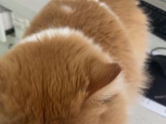 -佳雯宠物医院·皮肤科·内外科(春晓路分院)