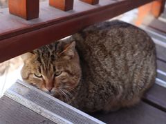 -终南山南五台景区