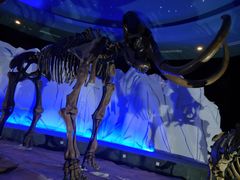 -亿利库布其七星湖沙漠生态旅游区