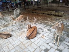 -西安秦岭野生动物园