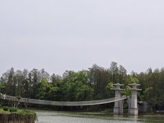 -东湖落雁景区