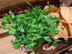 -牛村来人潮汕牛肉火锅(西单店)