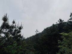 -灵岩山风景区