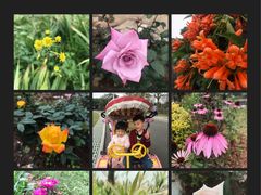 -东莞植物园