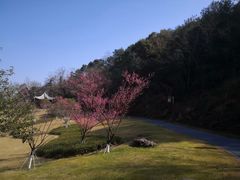 -东钱湖小普陀景区