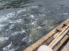 -九鲤溪瀑景区
