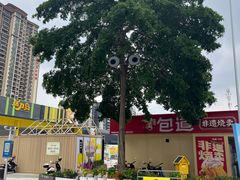 -顺德渔村·岭南一号