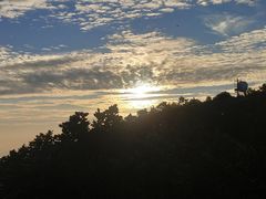 -梧桐山风景名胜区