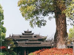 -韩湘水博园