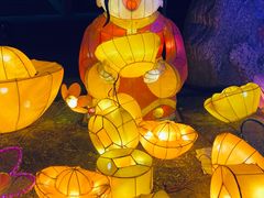 -南宫五洲植物乐园