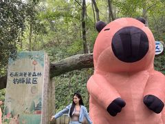 -石燕湖生态旅游景区