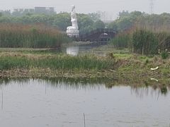 -荷塘月色湿地公园·向阳花洲