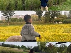 -汉长安城未央宫国家考古遗址公园