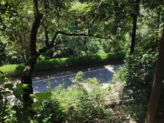 -火炉山森林公园