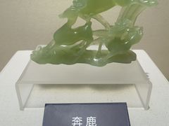 -安徽省地质博物馆