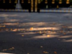 -三里屯东五街银杏大道