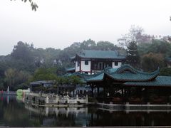 -桂湖森林公园