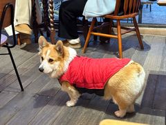 -肥朵食堂(带梦胡同店)