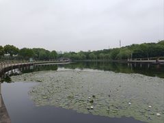 -院士公园