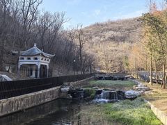 -白水寺森林公园