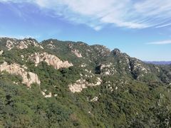 -大岭沟猕猴桃谷风景区
