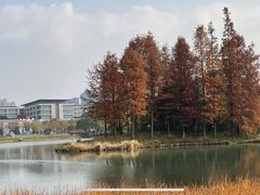 -尚贤河湿地