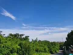 -雨花胜境