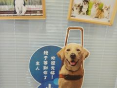 -瑞派·关忠动物医院(国瑞店)