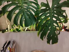 -Fruiffee Cafe 果啡派