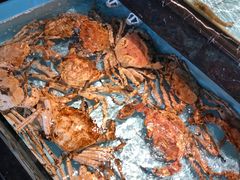 -尚海豆捞(乐虹坊店)