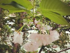 -长沙市青少年宫