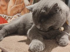 -么么咖啡(燕郊店)