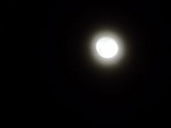 -世纪钟