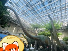 -国家自然博物馆