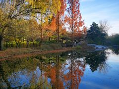 -北京植物园南门售票处