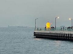 -海港城